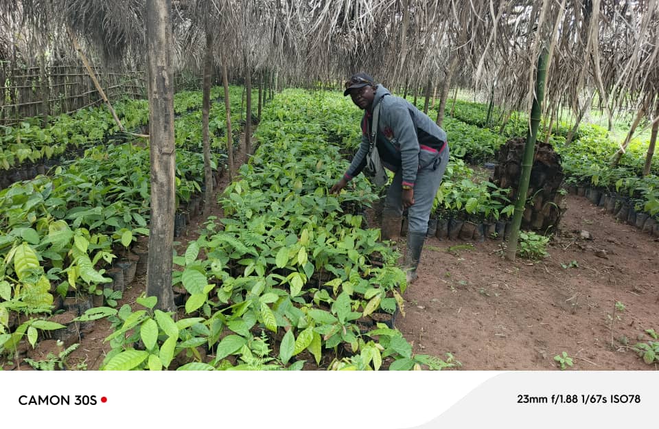 Projet d'appui à l'agriculture biologique aux cultures pérennes 